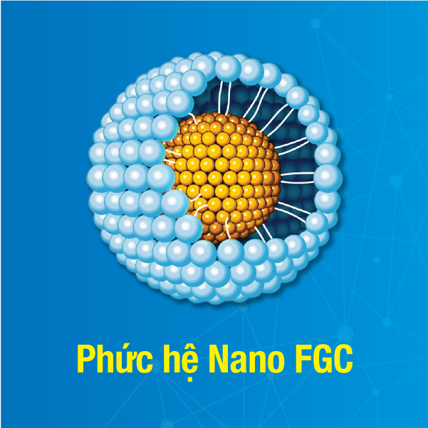 Phức hệ Nano FGC