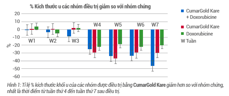 CumarGold Kare làm giảm kích thước khối u, kéo dài thời gian sống sót cho bệnh nhân ung thư